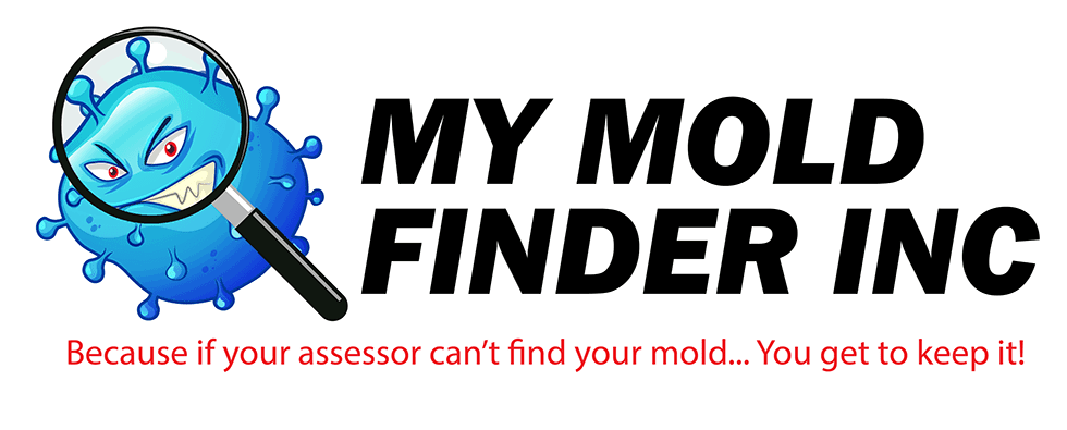 Mold Assessment and Inspections